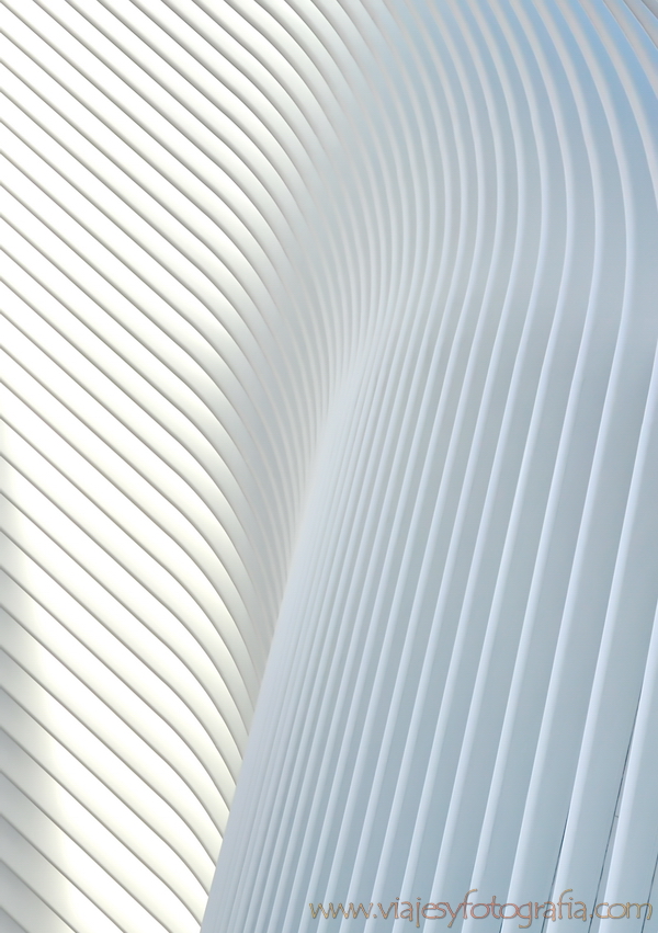 oculus_6148-2 oculus_6148-2
