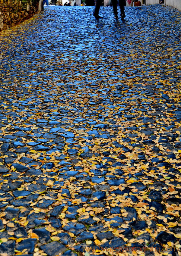 lisboa_8528 lisboa_8528