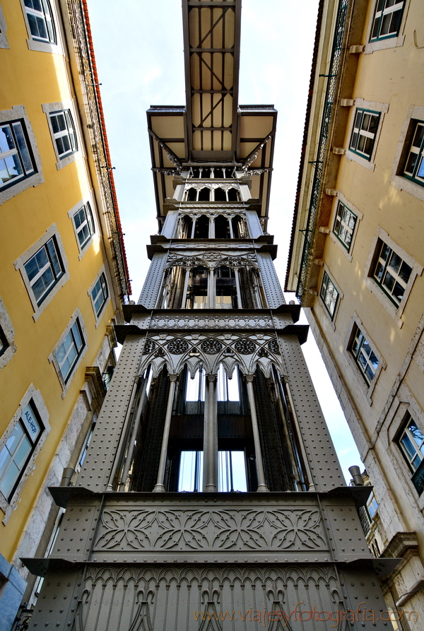 lisboa_8782 lisboa_8782