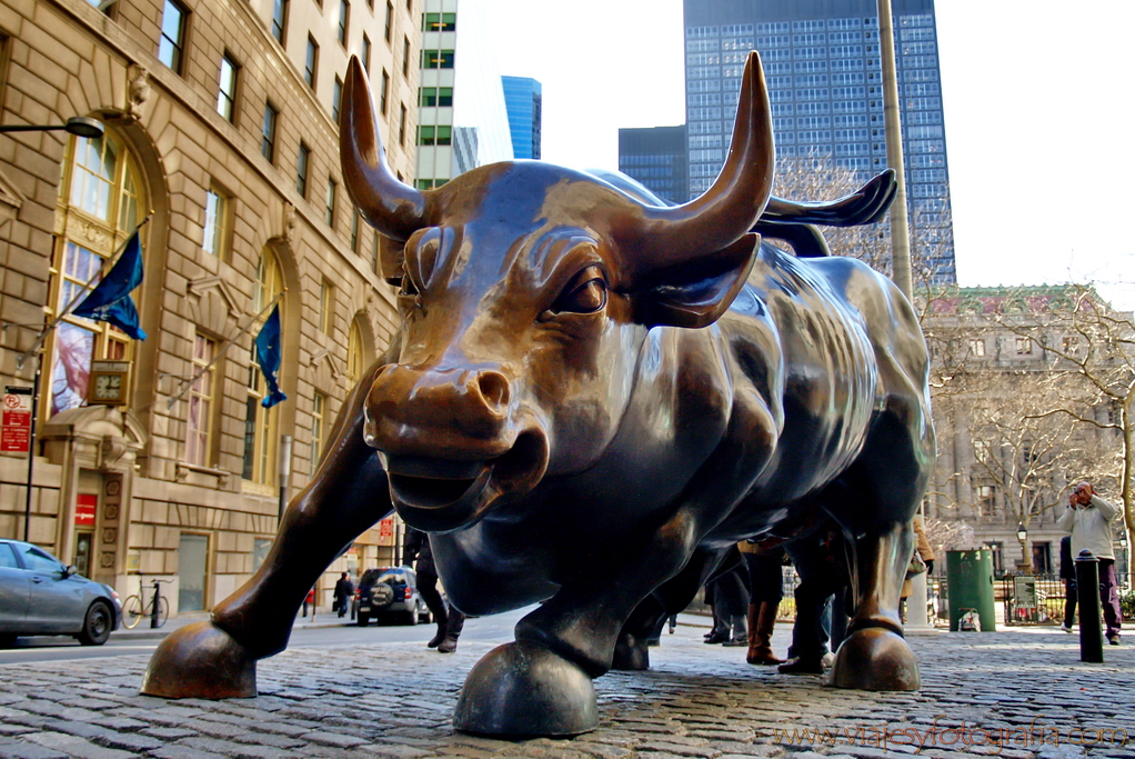 Charging Bull 1 Lower Manhattan Charging Bull 1 Lower Manhattan