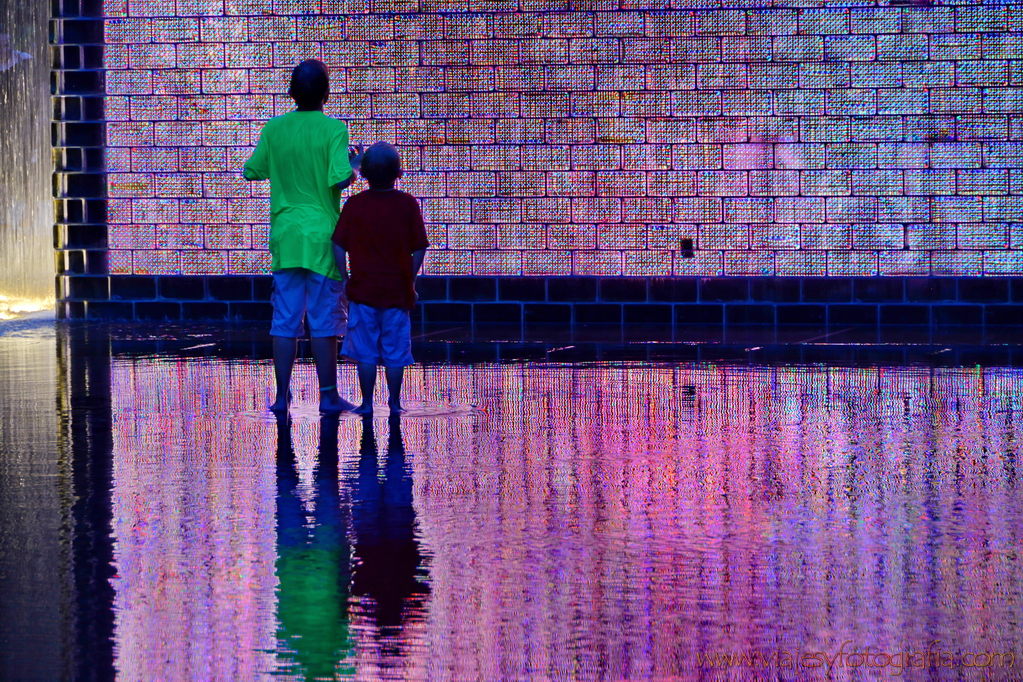 Chicago Millennium Park 11 Chicago Millennium Park 11