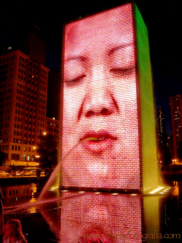 Chicago Millennium Park 10 Chicago Millennium Park 10