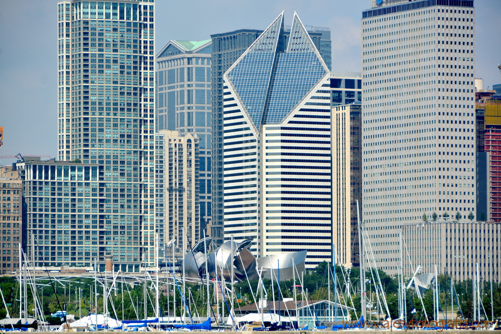 Chicago Millennium Park 5 Chicago Millennium Park 5