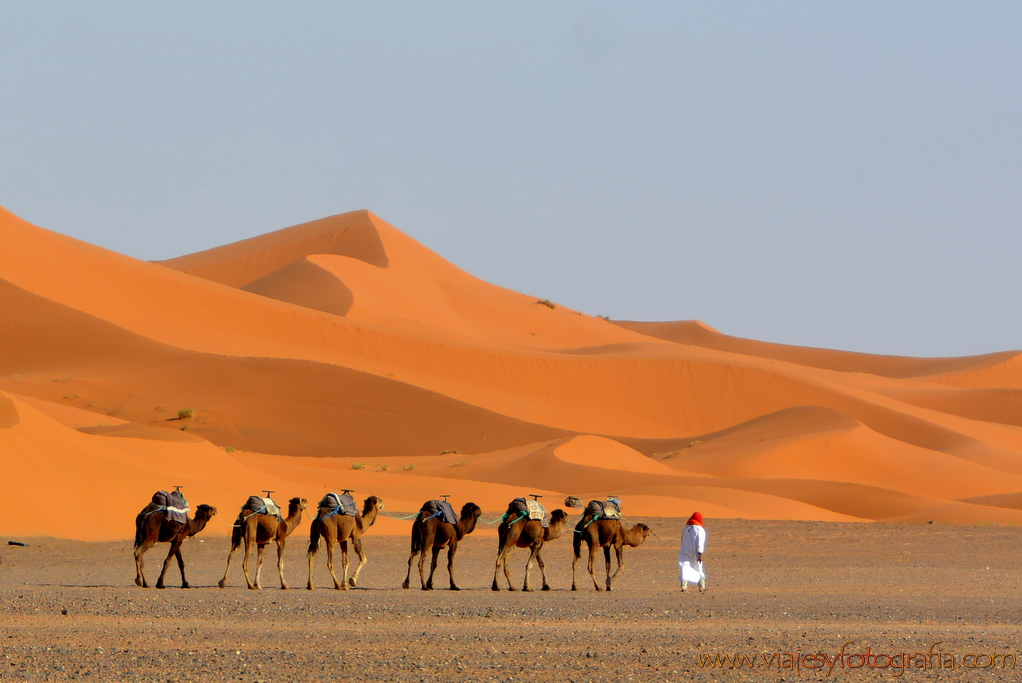 Merzouga 6