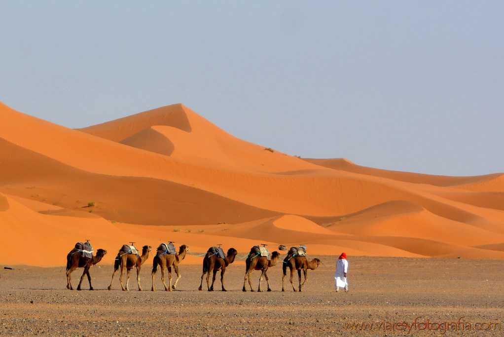 Marruecos_0847