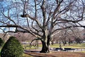 boston-freedom-trail-8736