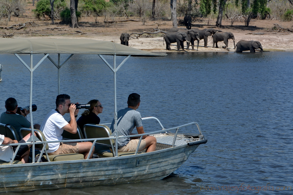 chobe-botswana-8743