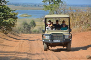 chobe-botswana-9051