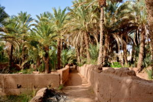 zagora-1373