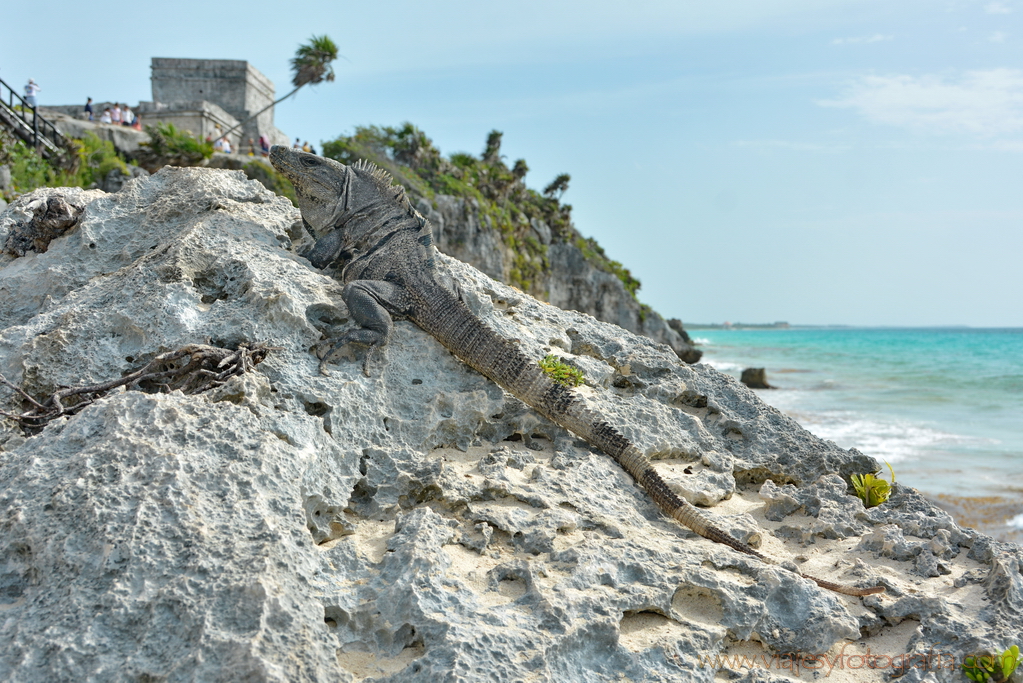 tulum-7025