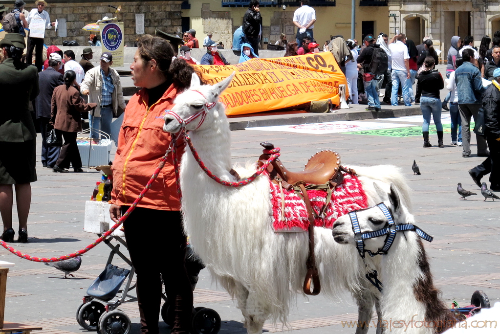 bogota-0378