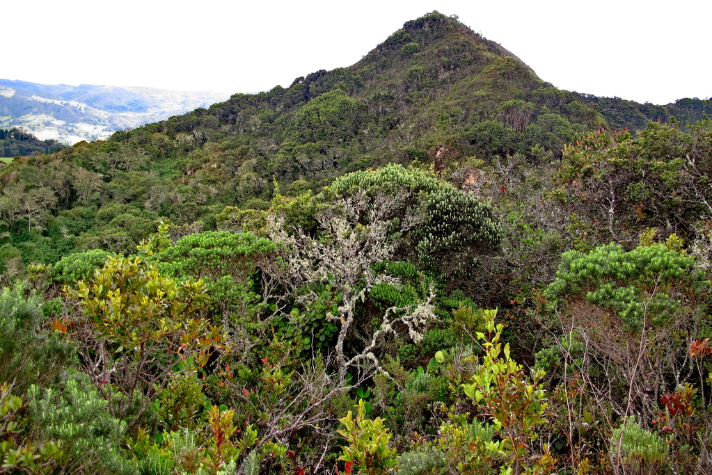 guatavita