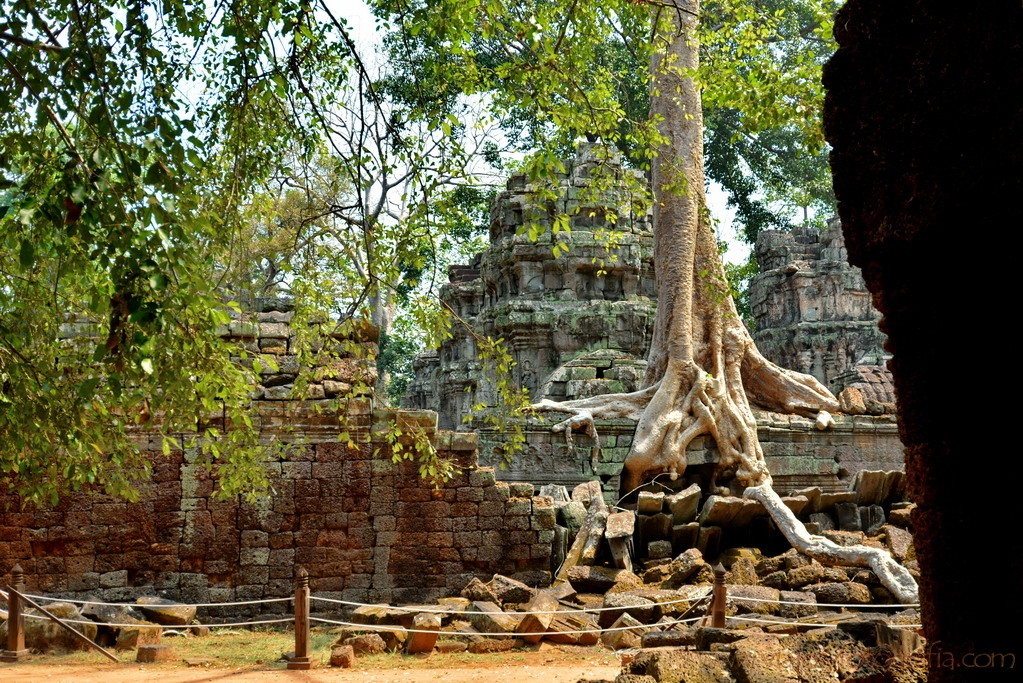 angkor-283