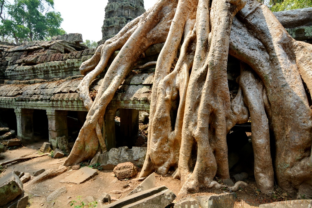 angkor-850