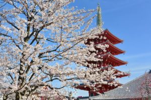 asakusa-7412