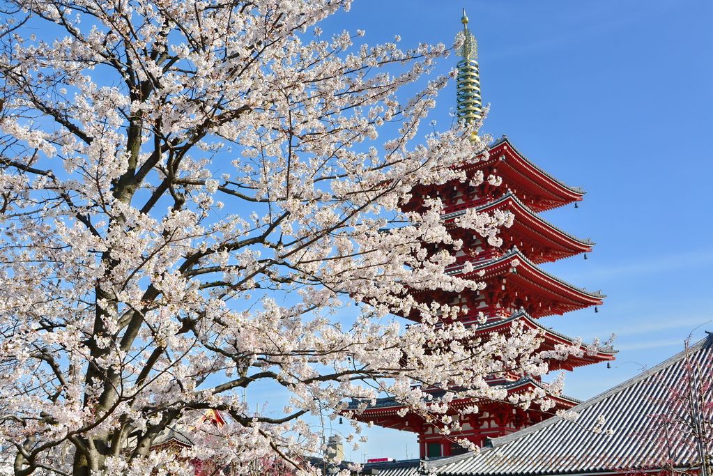 asakusa-7412