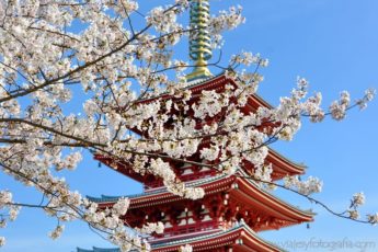 asakusa-7415