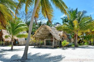 sian-kaan-punta-allen-7619