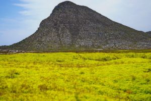 cabo-buena-esperanza-05274