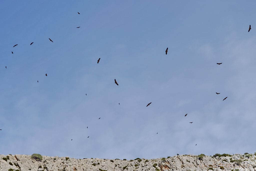 caminito-del-rey-8089