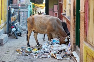 ganges-benares-5521