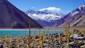 maipo-9292