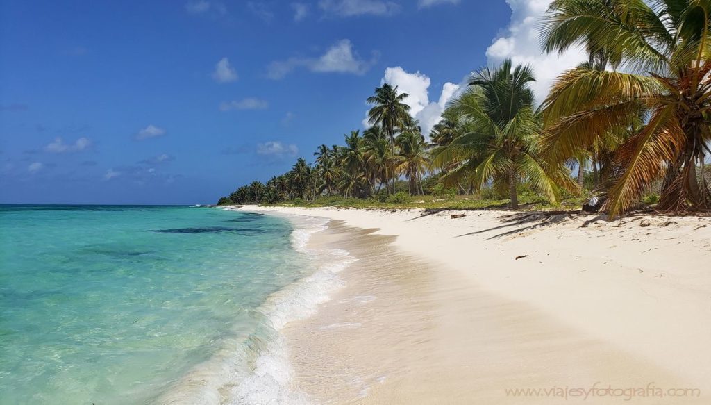 Excursión a Isla Saona, el Caribe soñado en la República Dominicana