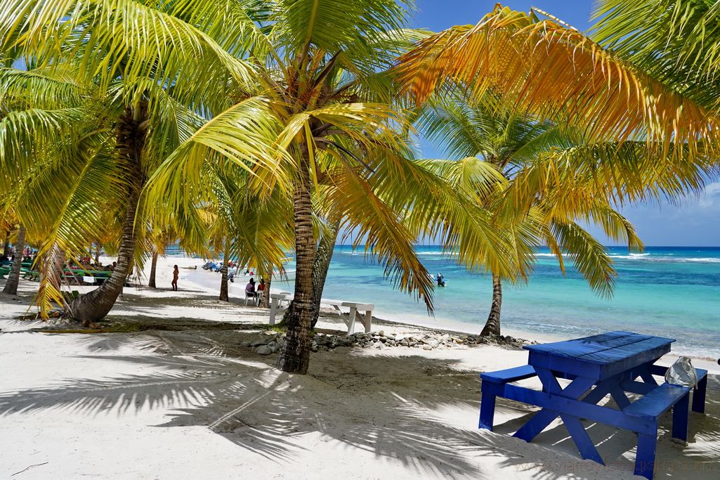 isla-saona-22