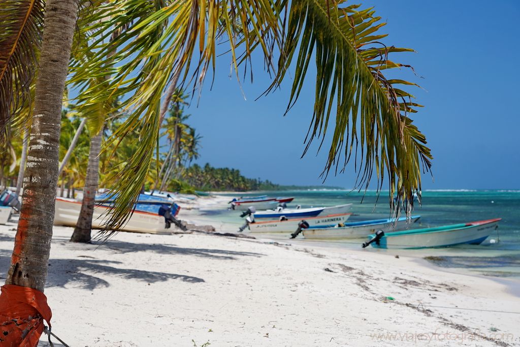 isla-saona-5