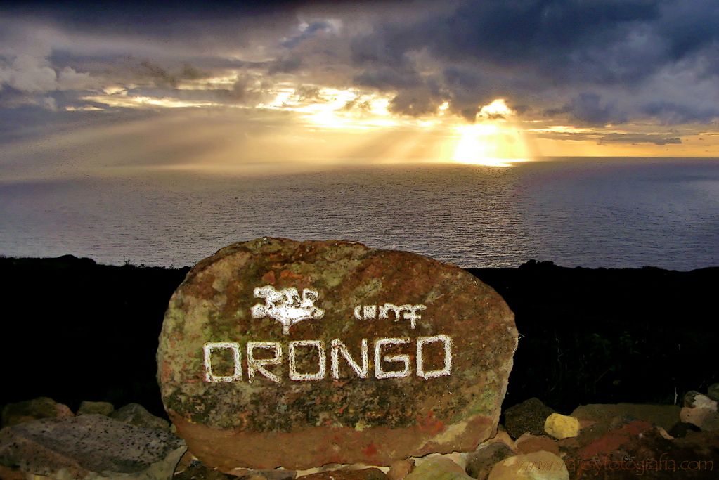 orongo-1