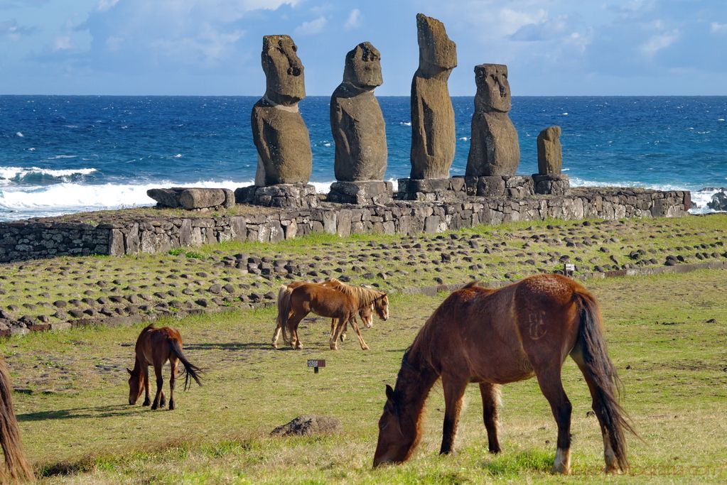 isla-de-pascua-ahu-tahai-4