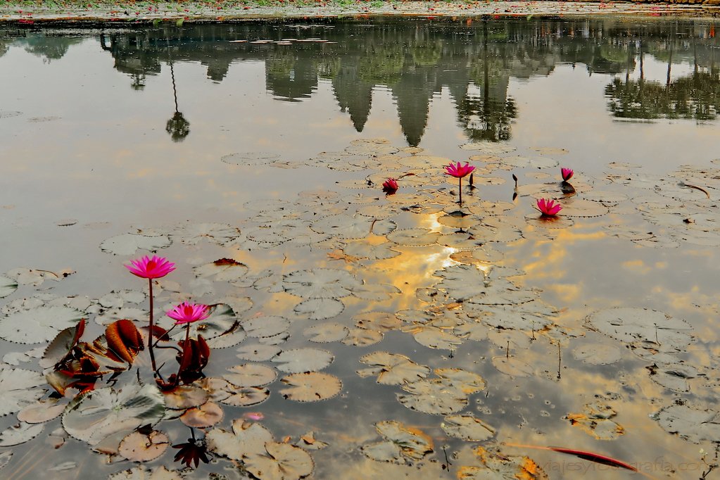 angkor-wat-3