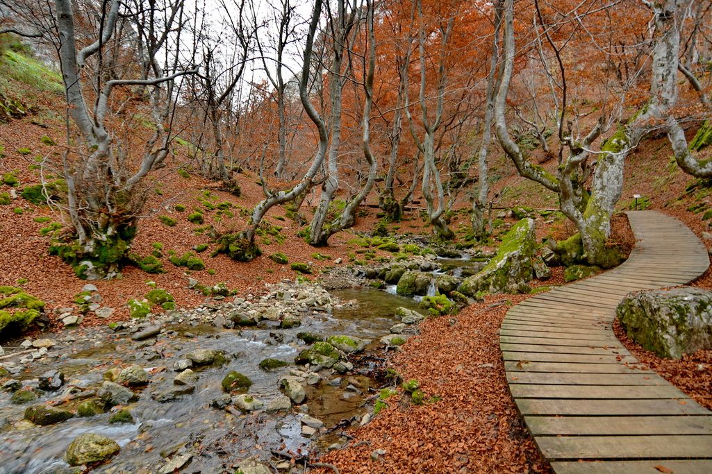 faedo-de-ciñera-leon-12