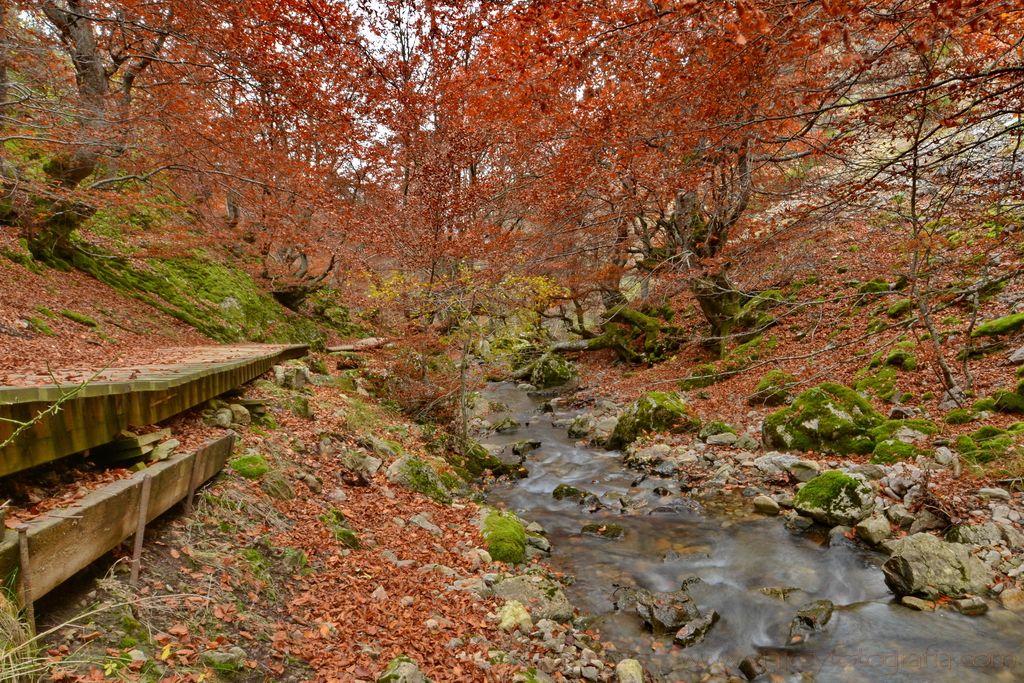 faedo-de-ciñera-leon-15