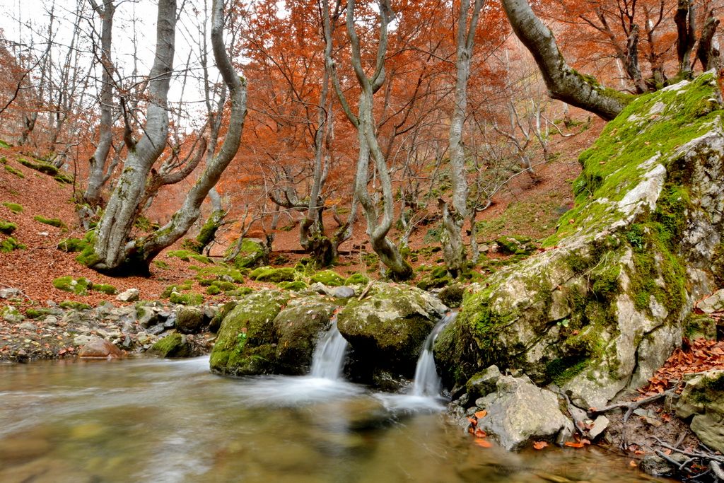 faedo-de-ciñera-leon-8