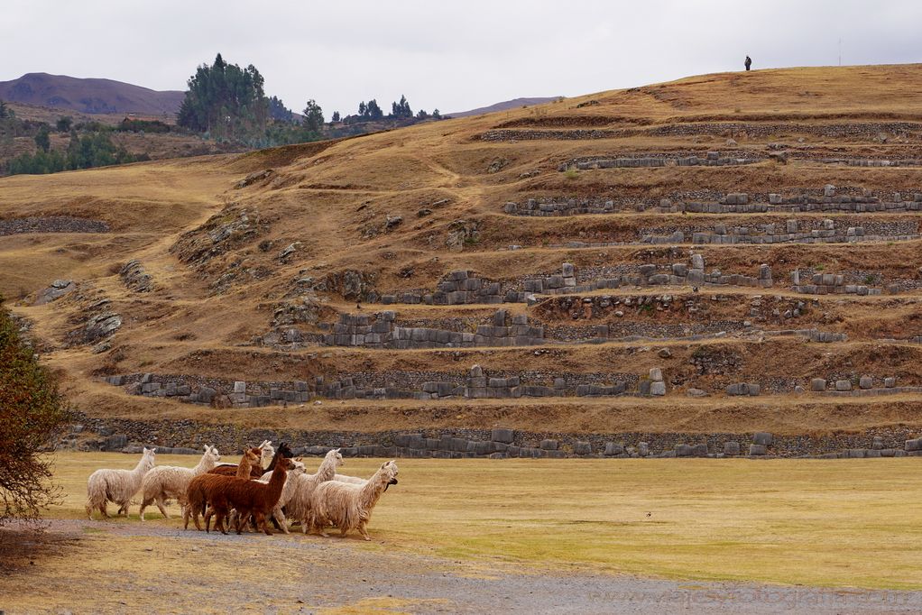 cuzco-inca-sacsayhuaman-3