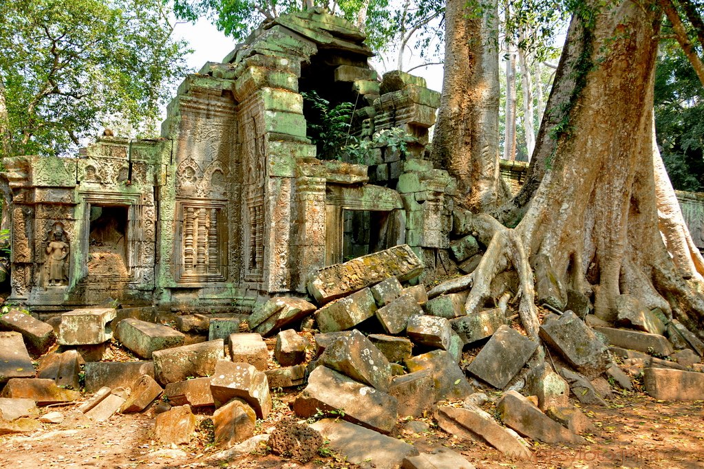 ruinas-ta-prohm-angkor-2