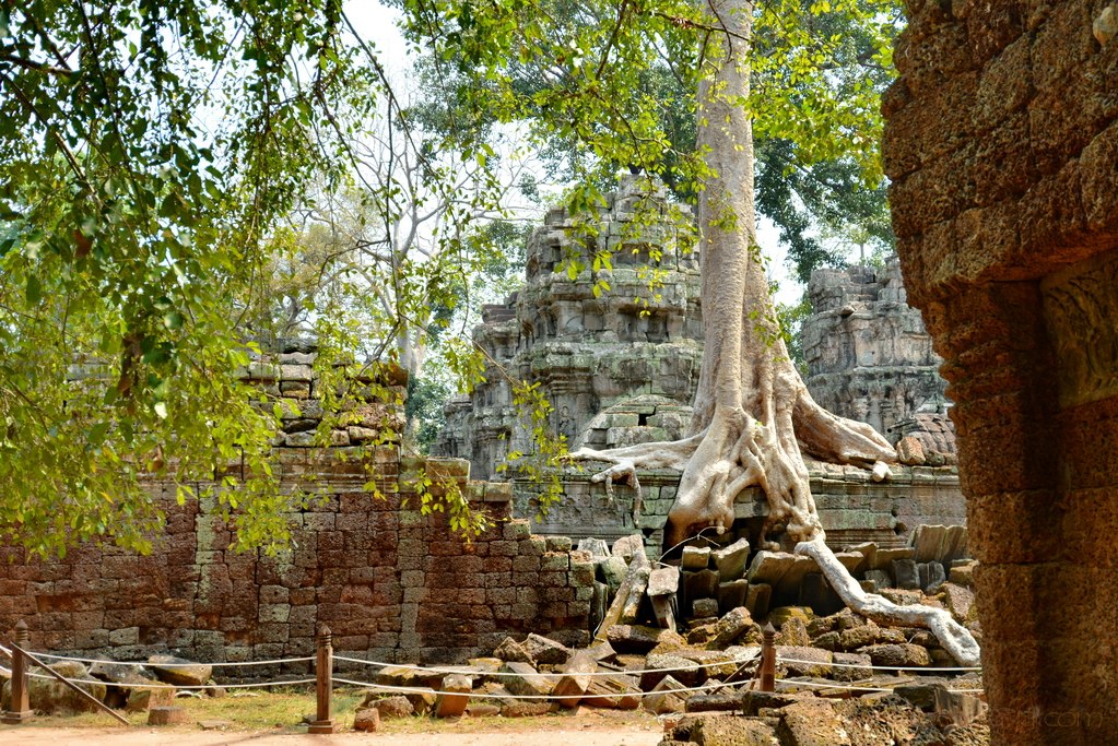 ta-prohm-angkor-6