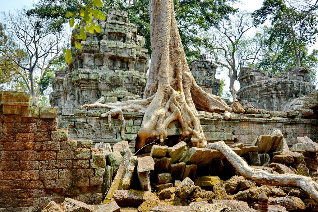 ruinas-ta-prohm-angkor-4