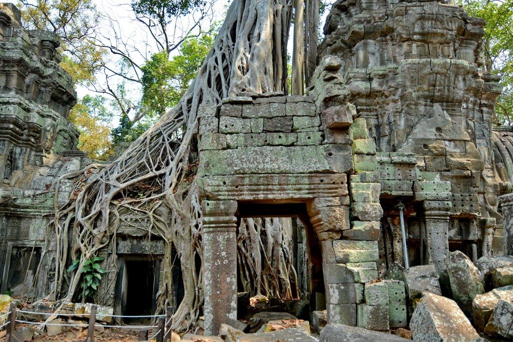 ta-prohm-angkor-7