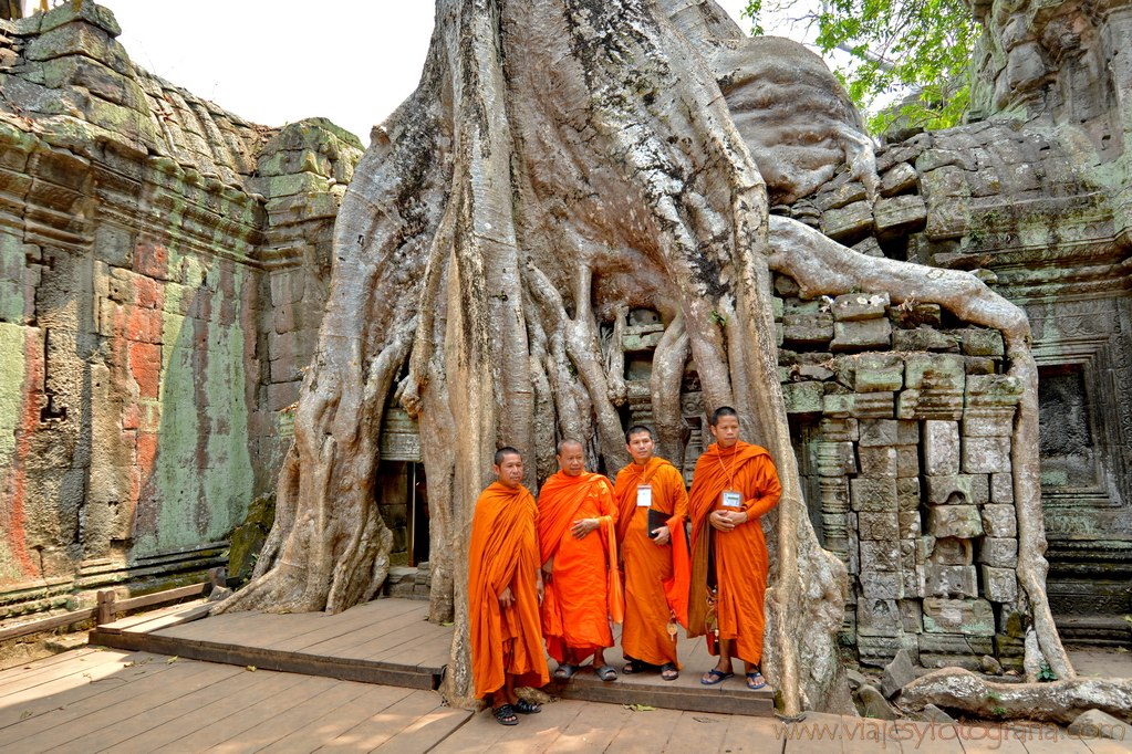 ta-prohm-angkor-5