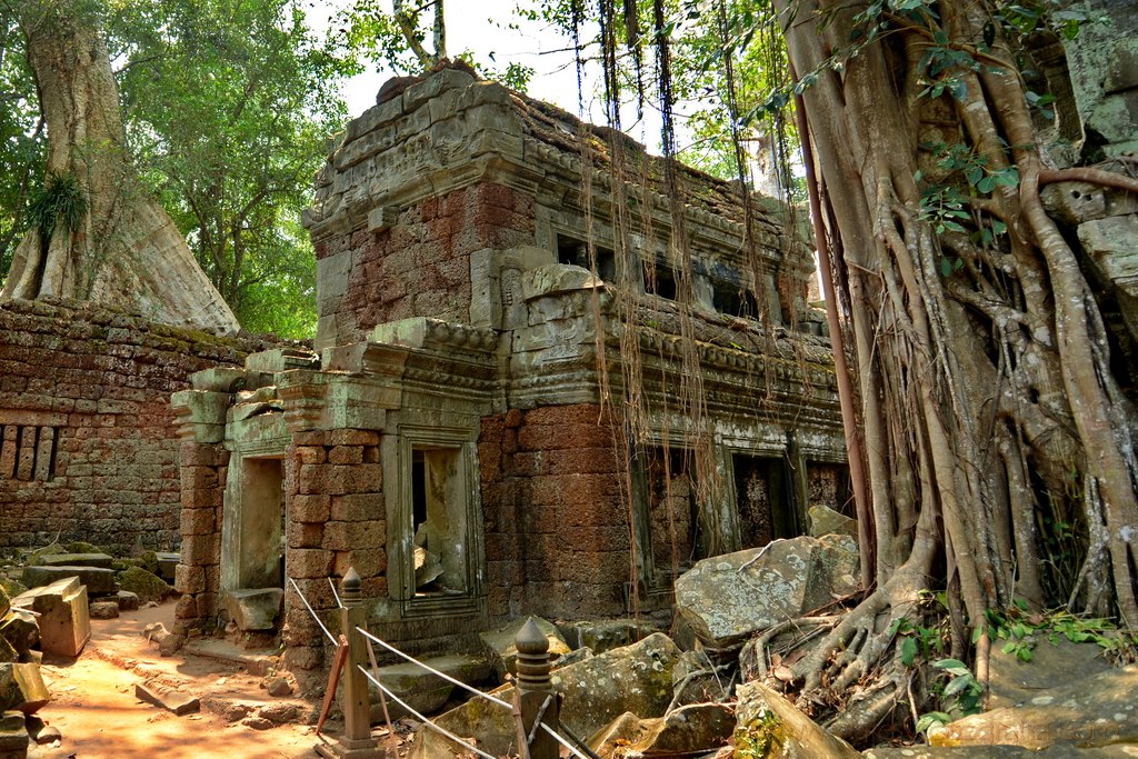 ta-prohm-angkor-3