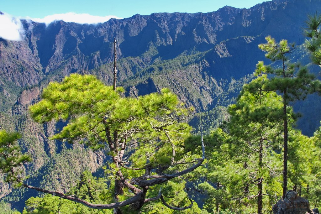 caldera-de-taburiente-1