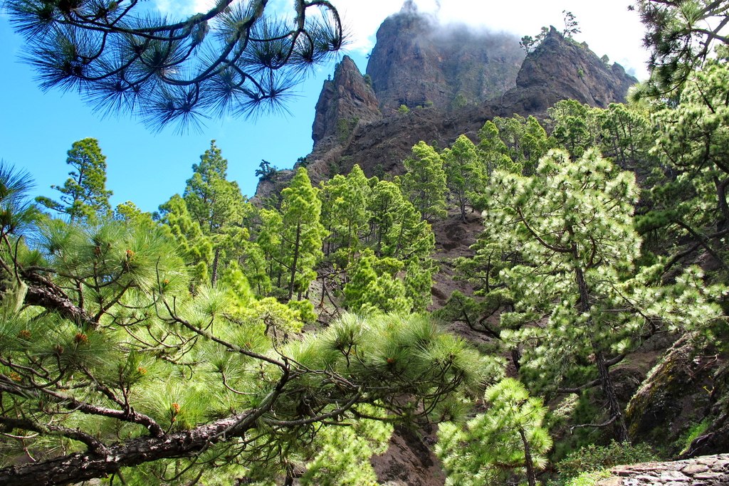 caldera-de-taburiente-3