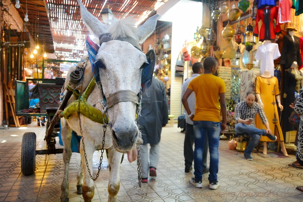 zoco-marrakech-8