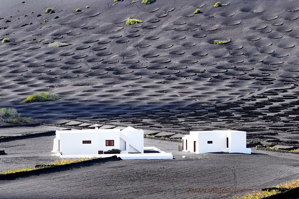 lanzarote_la_geria_5