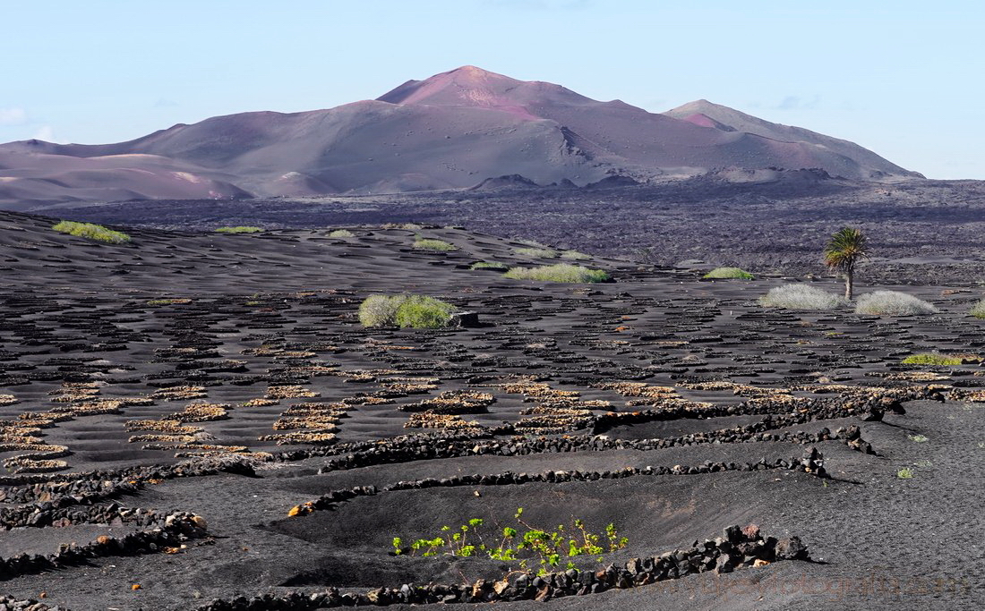 lanzarote_la_geria_4