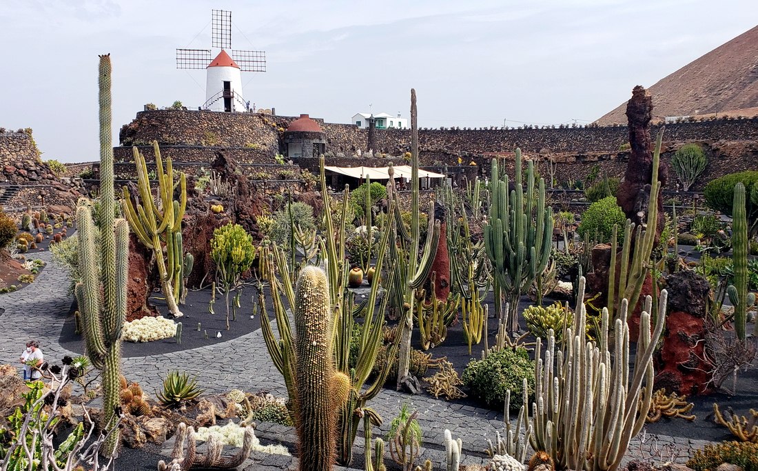 lanzarote_jardin_cactus_1