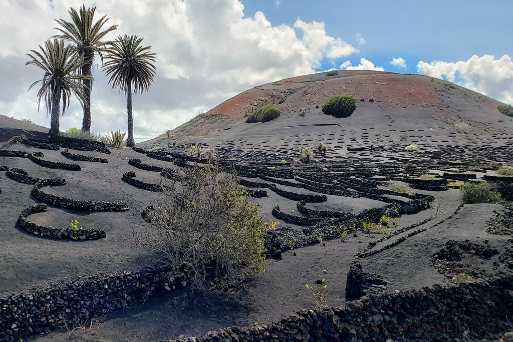 lanzarote_la_geria_6