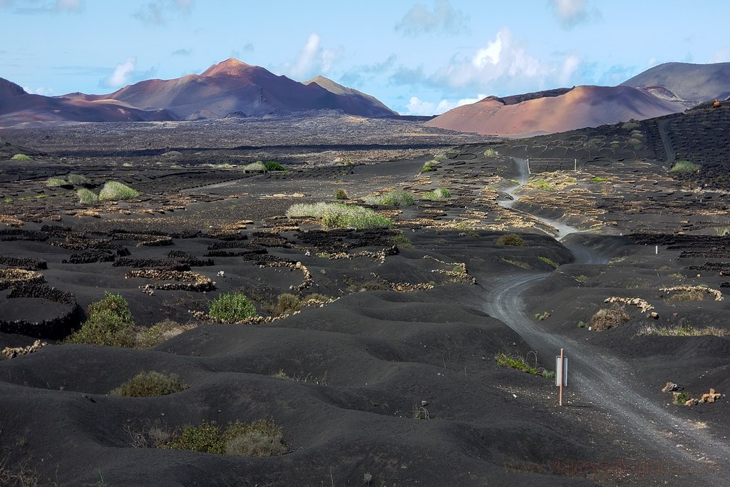 lanzarote_la_geria_1